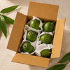 Fresh Avocados
